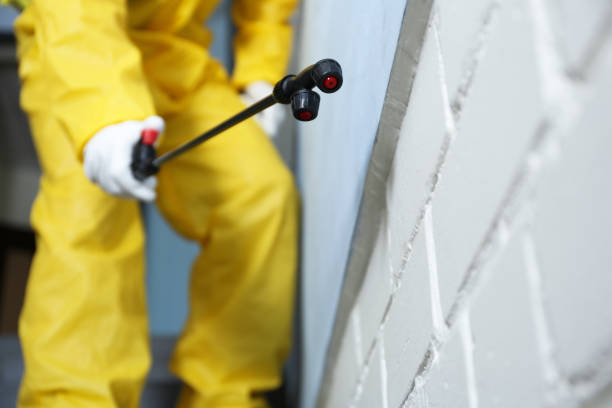 Best Pest Control for Multi-Family Homes  in Rexland Acres, CA